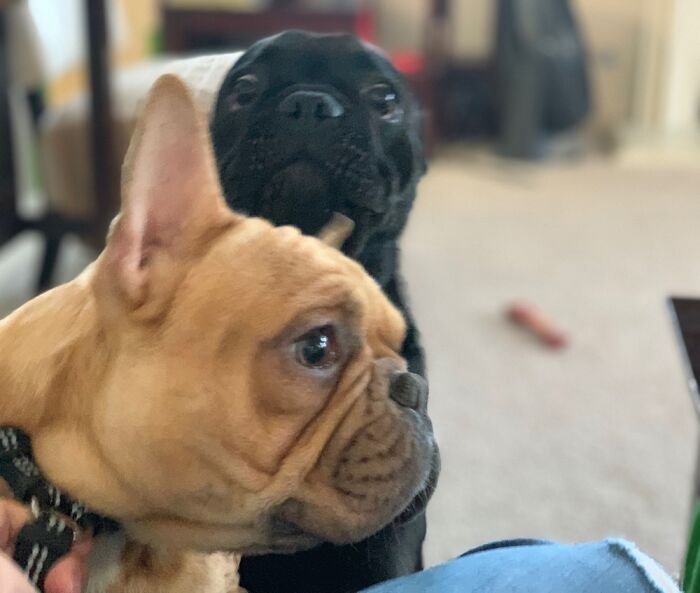 When You Accidentally Photobomb A Picture