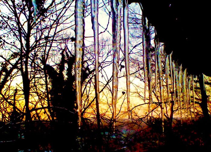 Cold Morning In December