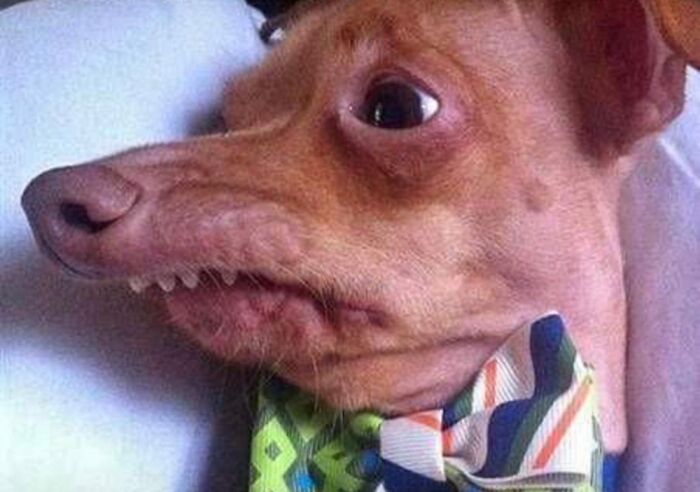 This Is A Picture A Friend Of Mine And I Pass To Each Other Randomly To Make Each Other Laugh!