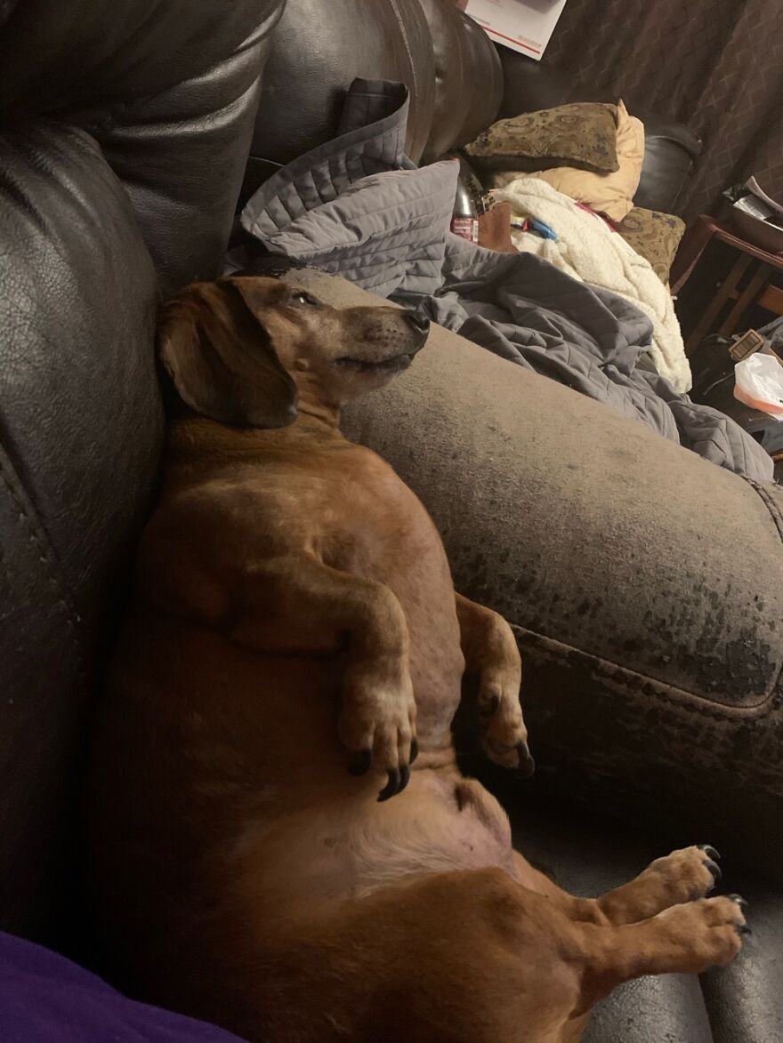 Do I Even Need To Explain