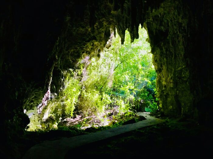Cave Tour In Nz