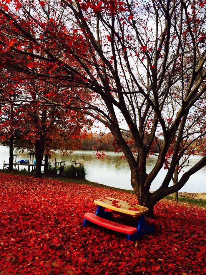 This Was Taken At My Grandmothers Friends House.