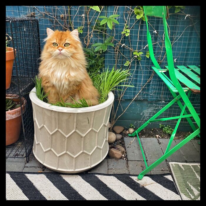 This Years Crop Is Bountiful