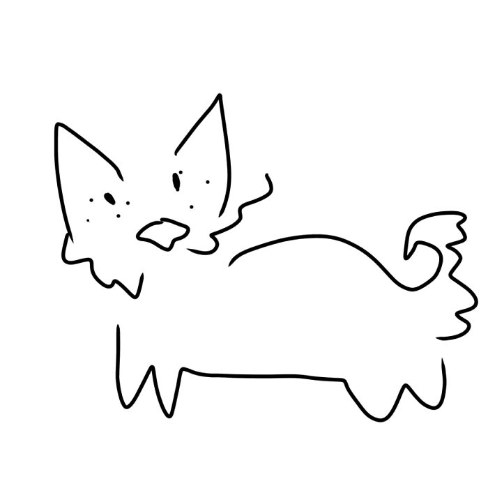 My Dog, Who’s A Pomsky. I Honestly Thought It Would Be Worse.