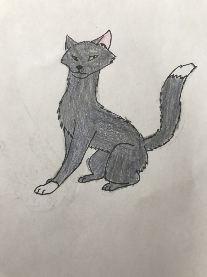 Warriors Oc Stormfeather