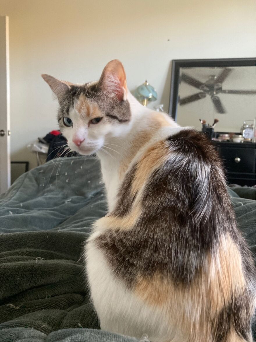 I Love Her Annoyed Face.