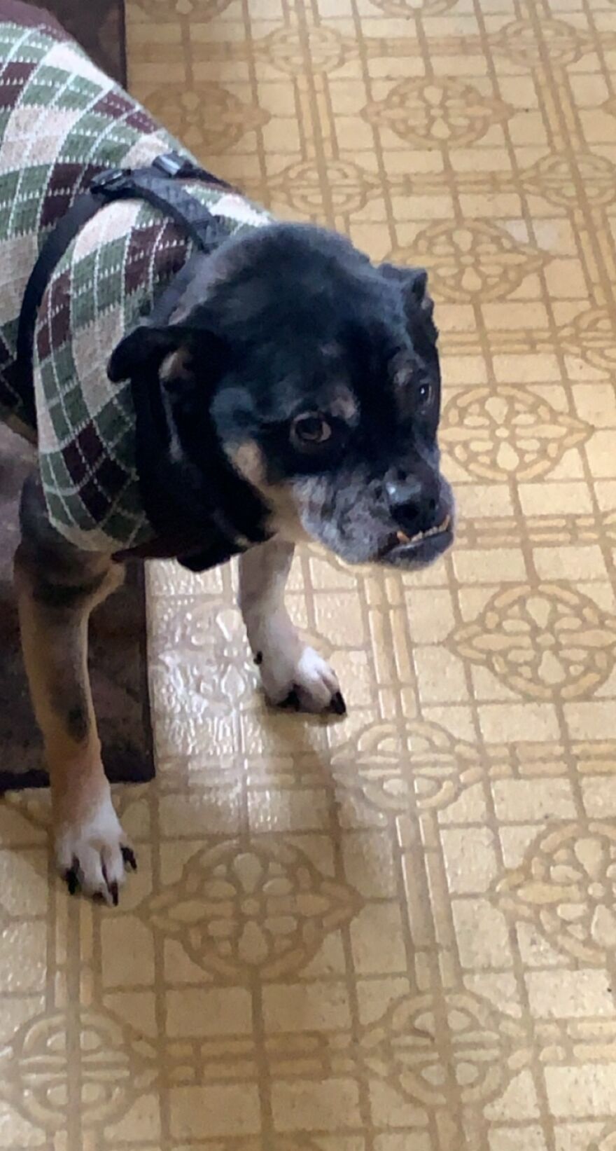 He Hates His Sweater. But He Hates Being Cold Even More.