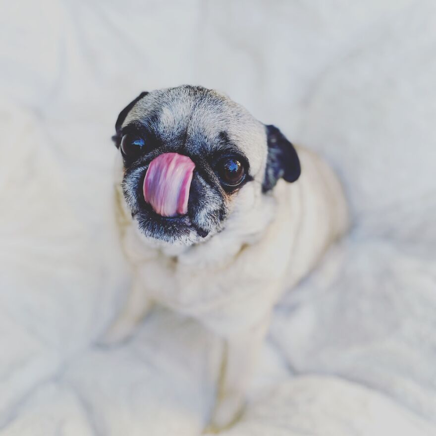 Glynda Having A Kiss Moment