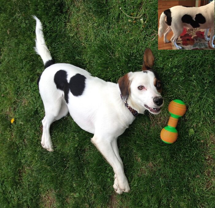 Minnie - For Obvious Reasons!