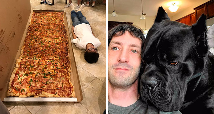 50 Comparaciones interesantes para darte una nueva perspectiva de las cosas (nuevas imágenes)