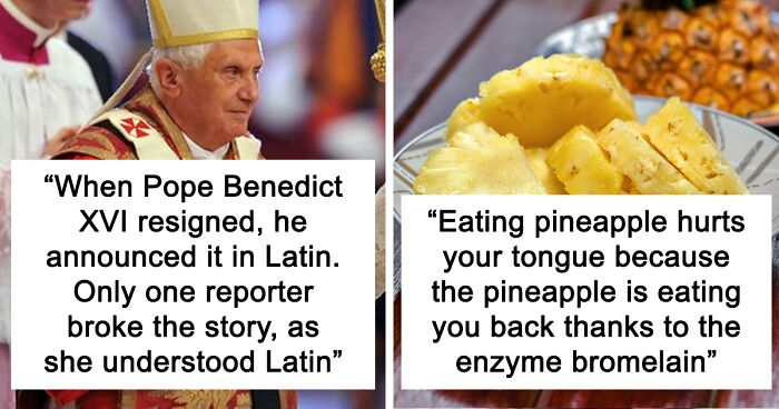 40 Interesting Things People Didn’t Learn At School And Decided To Share Them In This Online Group (New Pics)