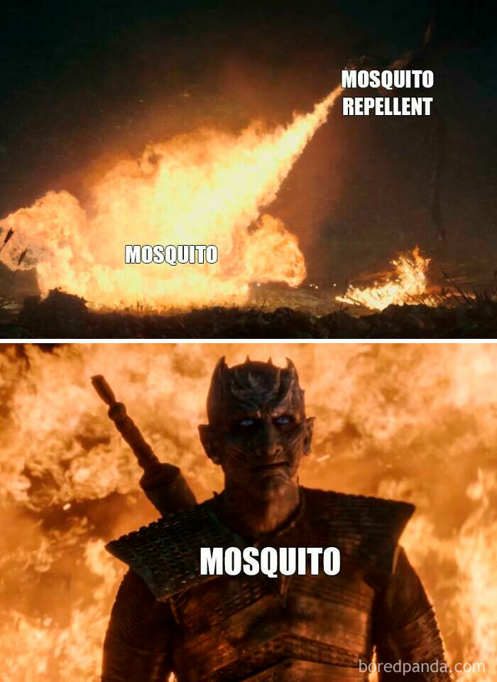 Jokes-To-Start-Off-Summer