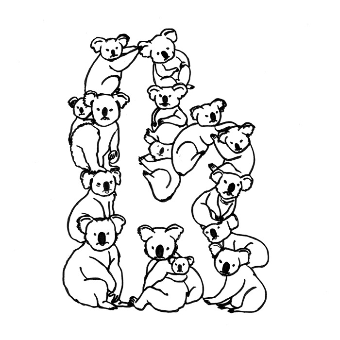 K For Koala