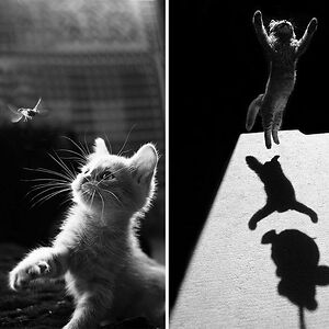 martyna_maria_przybyl avatar