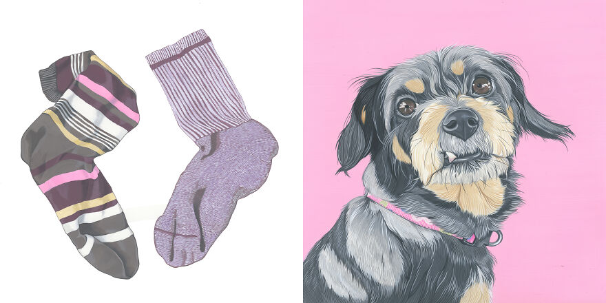 Laci Never Met A Sock She Didn't Like