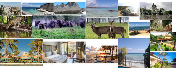 mozambiquecollage-60db1d771f362.jpg