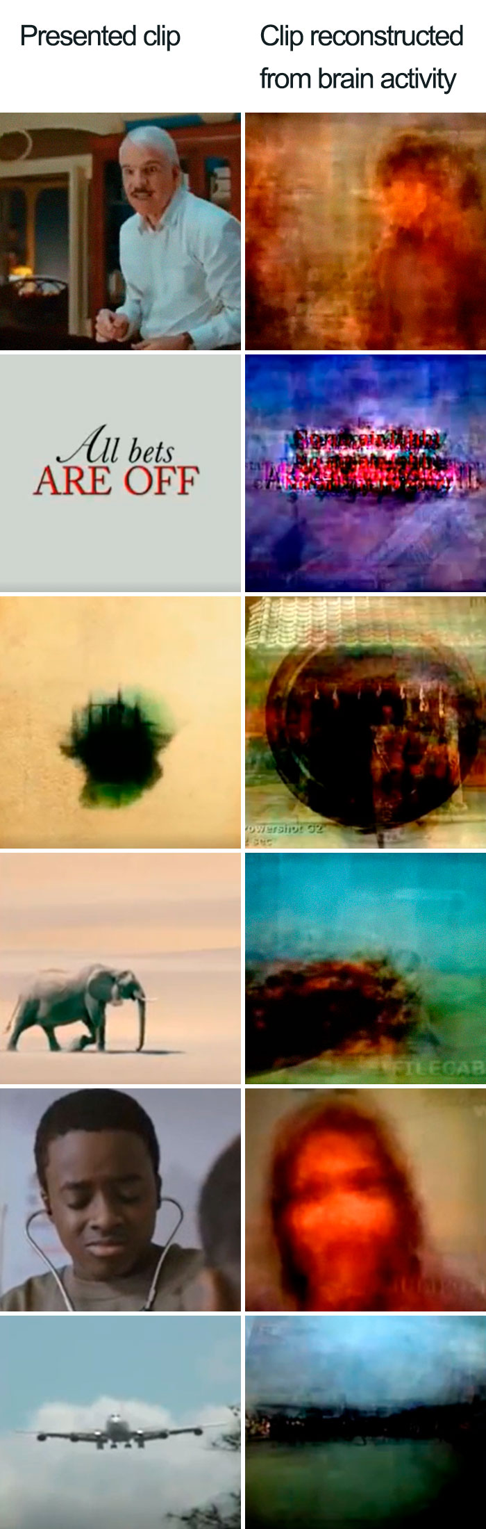 Images Reconstructed From Brain Activity