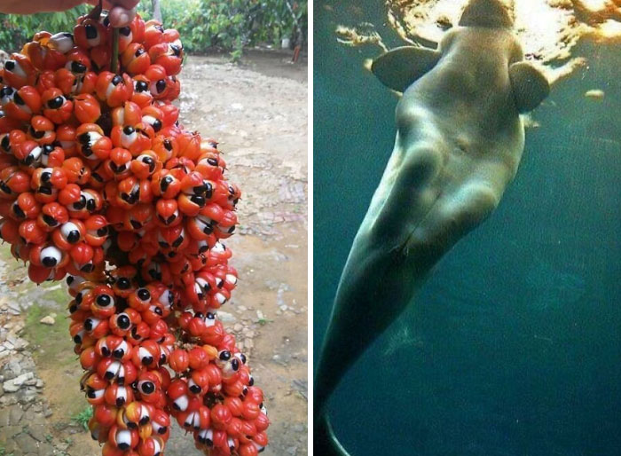 35 Imágenes extrañamente aterradoras que te darán escalofríos