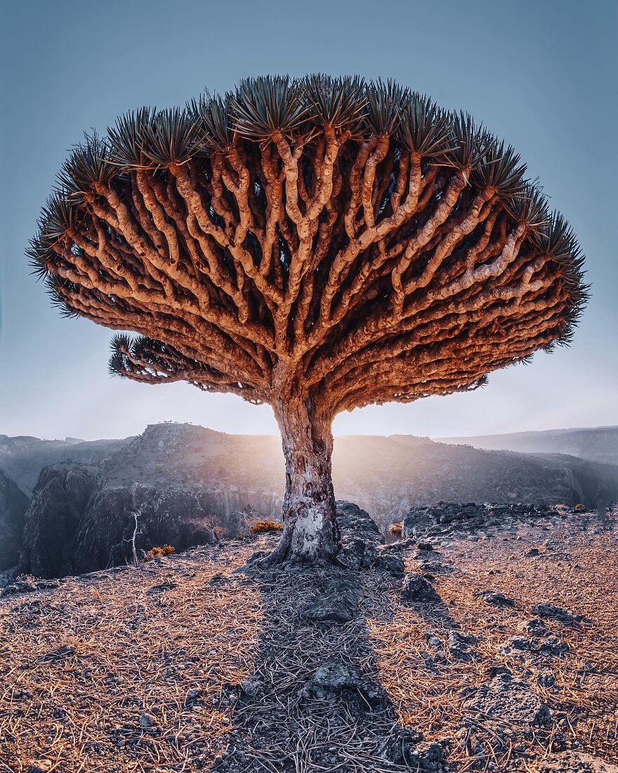 Travel-Photography-Unique-Socotra-Island-Yemen-Unique-Kristina-Makeeva