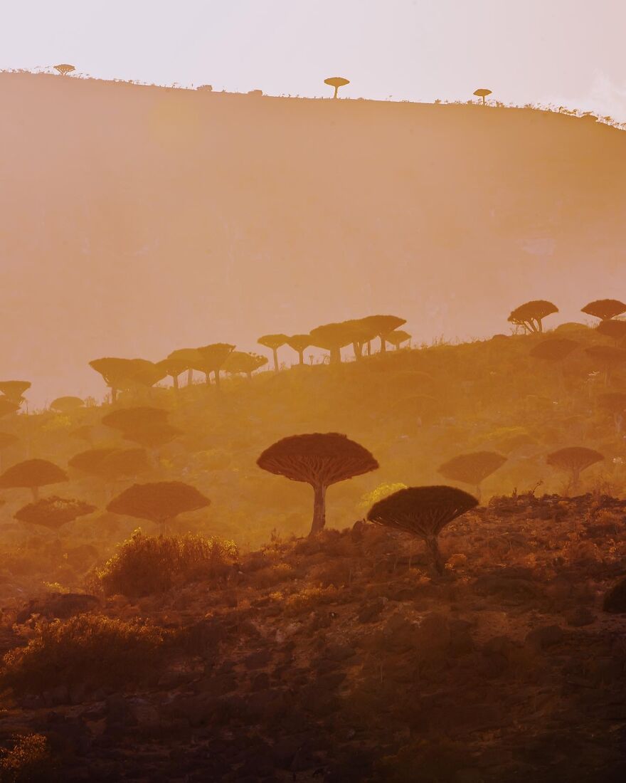 Travel-Photography-Unique-Socotra-Island-Yemen-Unique-Kristina-Makeeva