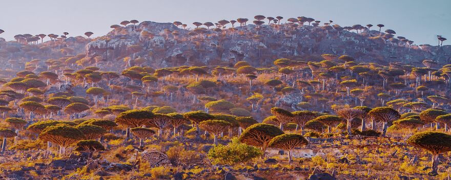 Travel-Photography-Unique-Socotra-Island-Yemen-Unique-Kristina-Makeeva