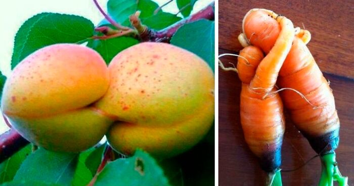 50 Times People Spotted Pareidolia In These Vegetables And Fruits And Just Had To Take A Pic