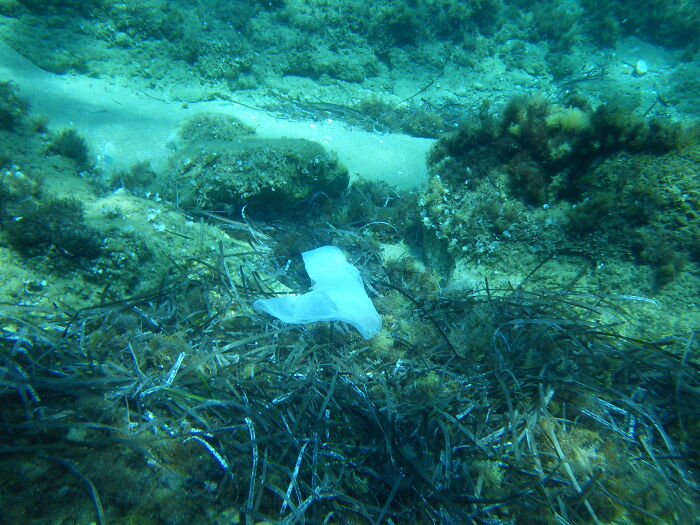 Person Invites People To Share The Saddest Facts They Know And Boy, Do They Deliver (40 Pics)