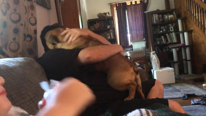 No Apex For You! 2nd Day After Adopting, Frank Wants All The Loves!