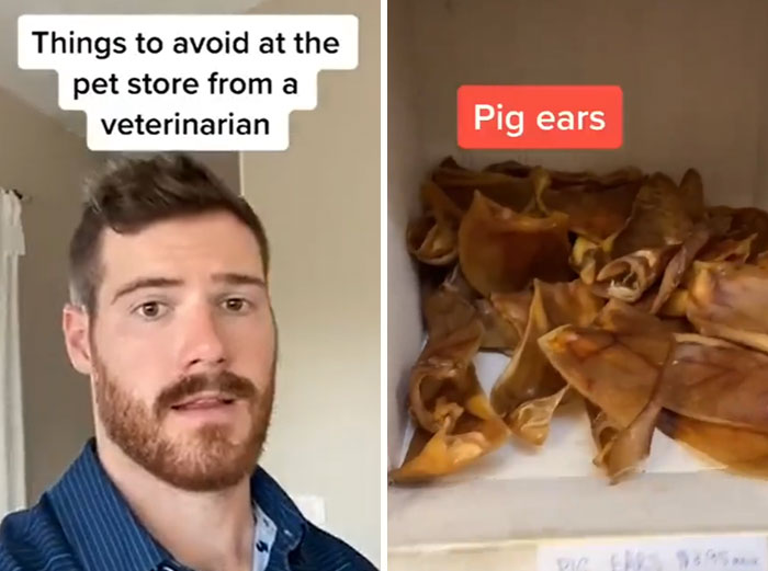 Pet-Care-Tips-Vet-Hunter-Finn-Tiktok