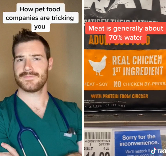 Pet-Care-Tips-Vet-Hunter-Finn-Tiktok