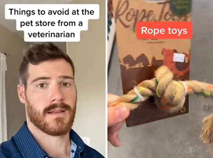 Pet-Care-Tips-Vet-Hunter-Finn-Tiktok