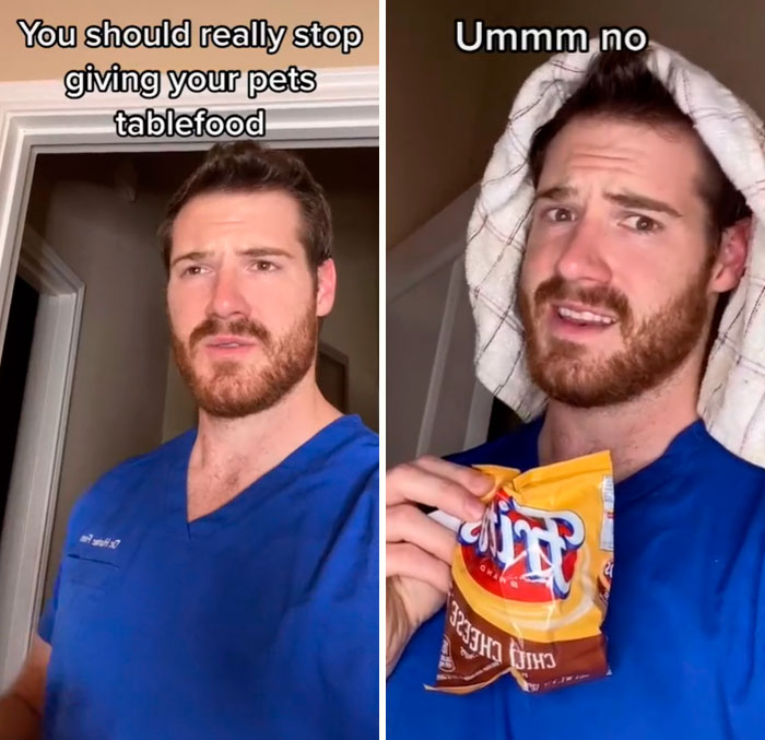 Pet-Care-Tips-Vet-Hunter-Finn-Tiktok