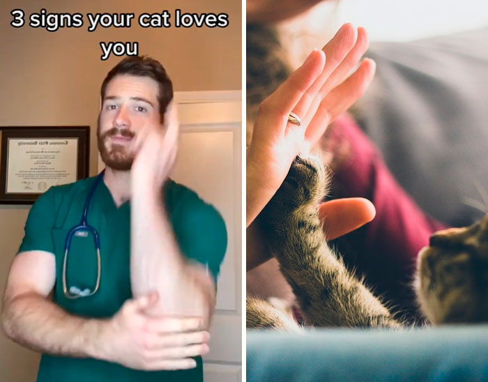 Pet-Care-Tips-Vet-Hunter-Finn-Tiktok