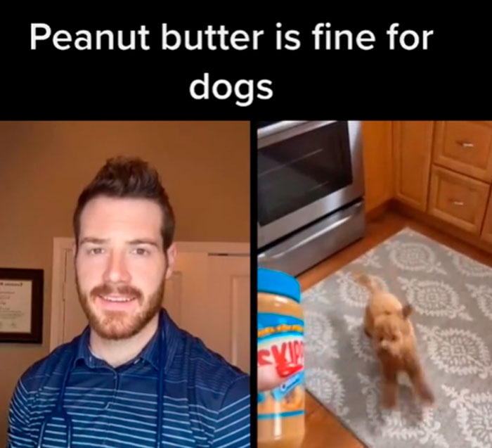 Pet-Care-Tips-Vet-Hunter-Finn-Tiktok