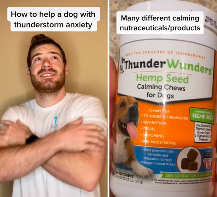 Pet-Care-Tips-Vet-Hunter-Finn-Tiktok