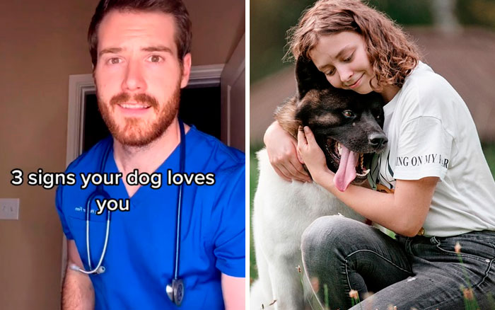 Pet-Care-Tips-Vet-Hunter-Finn-Tiktok