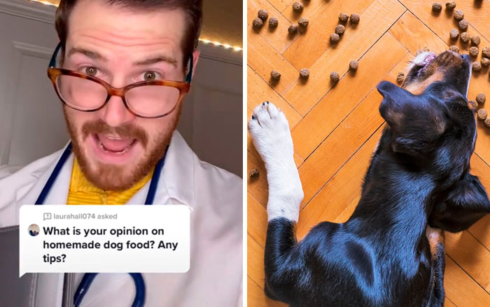 Pet-Care-Tips-Vet-Hunter-Finn-Tiktok