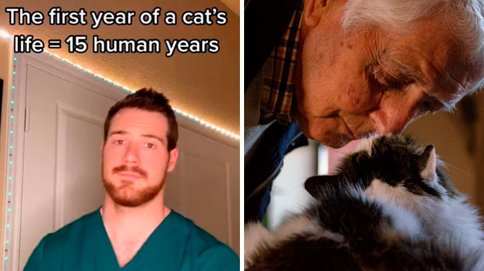 Pet-Care-Tips-Vet-Hunter-Finn-Tiktok