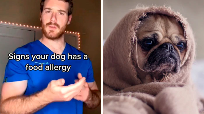 Pet-Care-Tips-Vet-Hunter-Finn-Tiktok