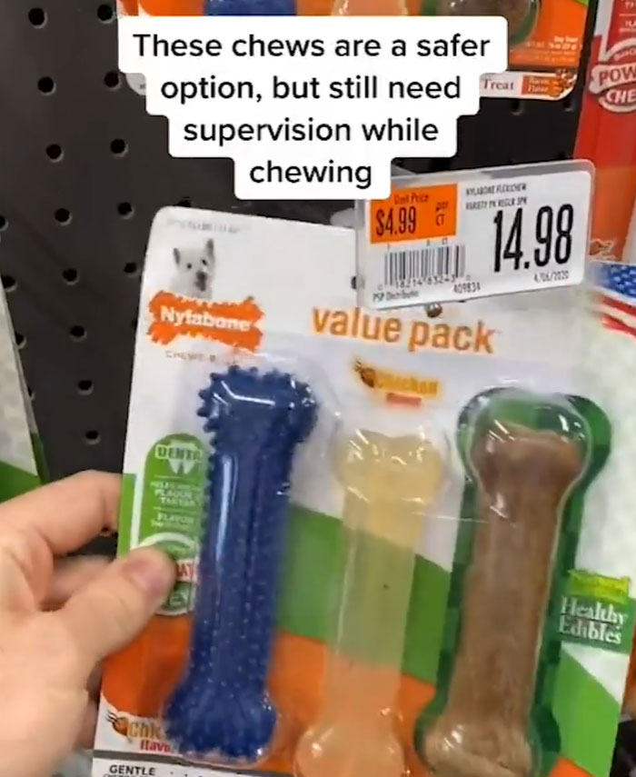 Pet-Care-Tips-Vet-Hunter-Finn-Tiktok