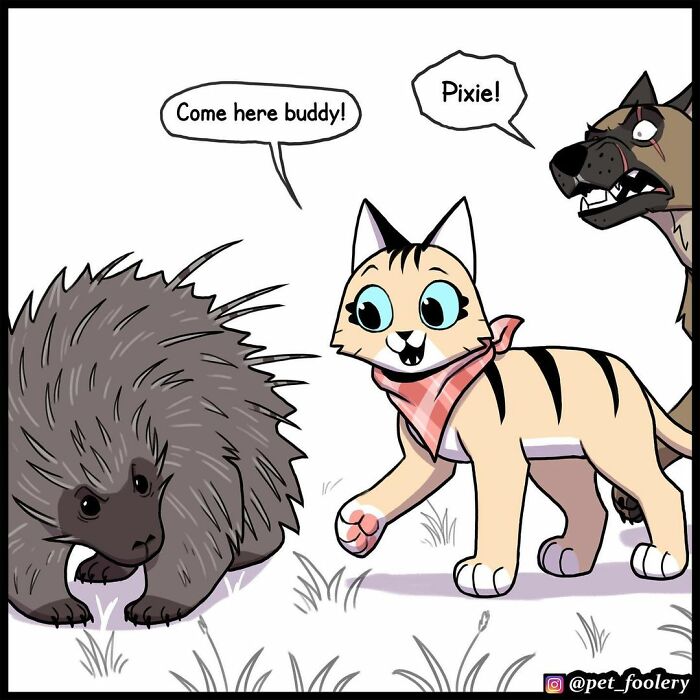 9 New Hilariously Adorable Comics About Brutus And Pixie To Instantly Make Your Day 9 New Hilariously Adorable Comics About Brutus And Pixie To Instantly Make Your Day