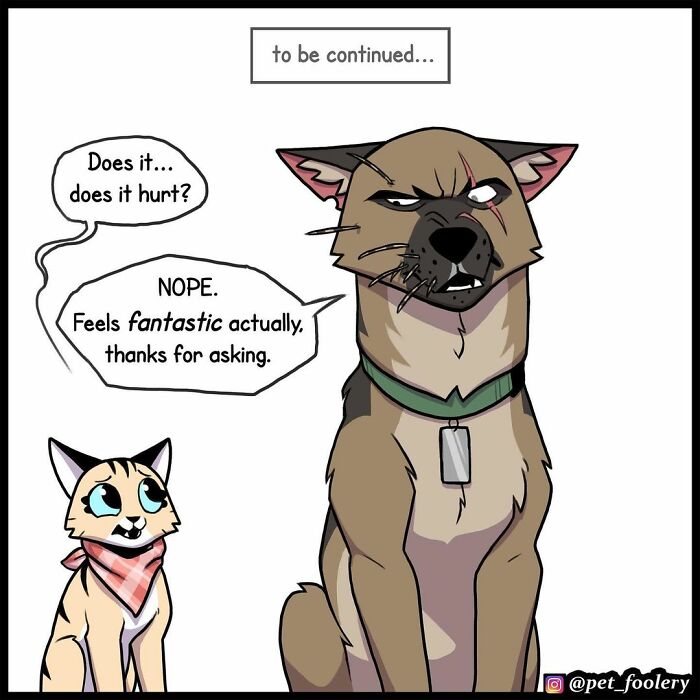 9 New Hilariously Adorable Comics About Brutus And Pixie To Instantly Make Your Day 9 New Hilariously Adorable Comics About Brutus And Pixie To Instantly Make Your Day
