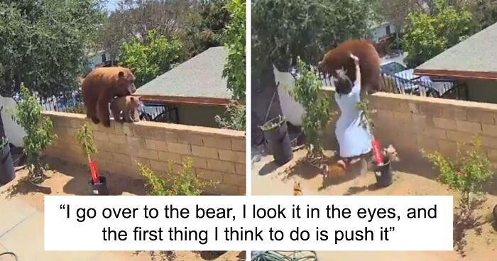 “I Have To Protect Her”: Courageous 17-Year-Old Saves Her Dog From An Aggressive Bear With Cubs By Pushing It Off A Fence