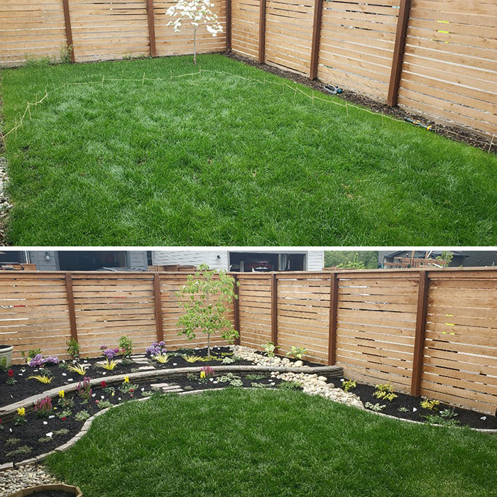 Our Quarantine Backyard Project