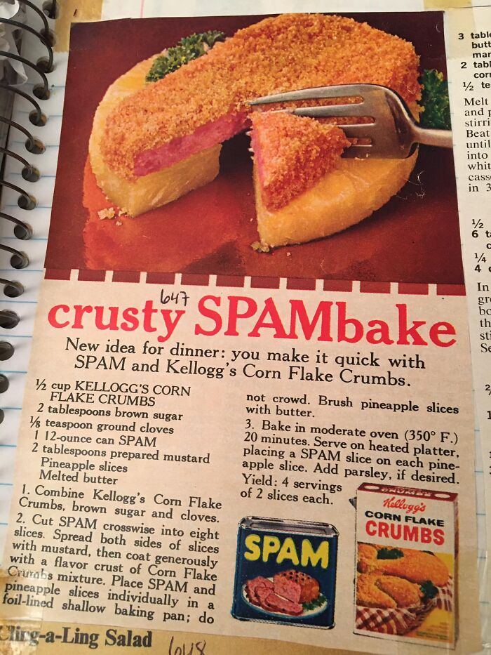 Questionable Vintage Recipes