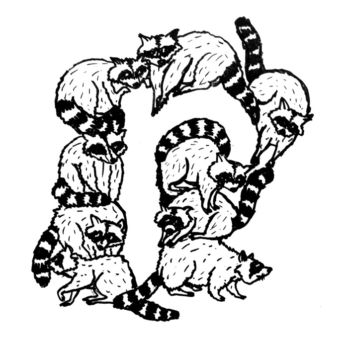 R For Raccoon