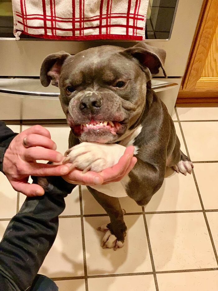 Baby Tank Does Not Like His Nails Touched