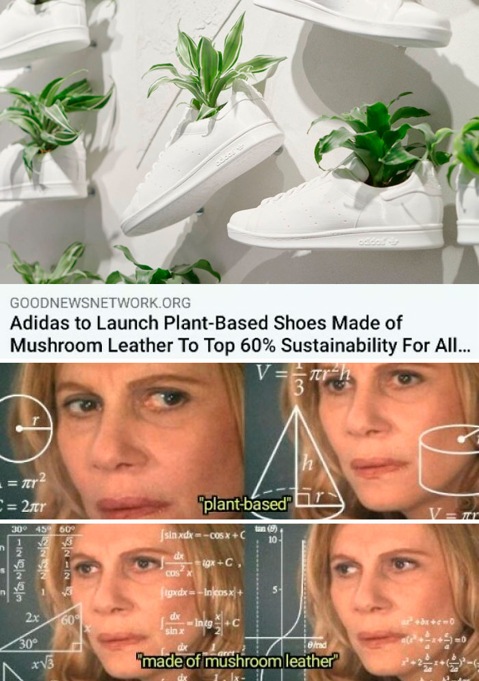 Science meme humorously analyzing plant-based mushroom leather shoes.