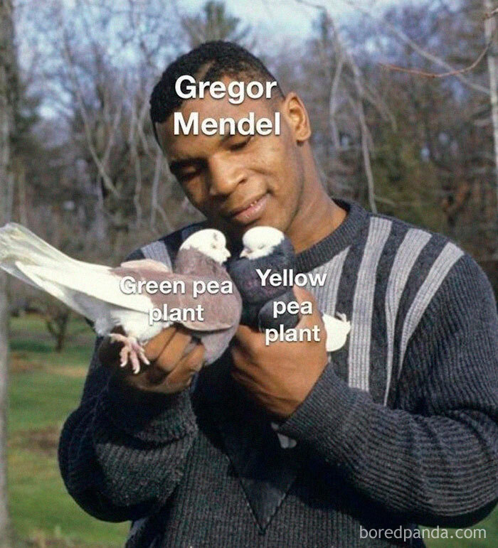 We All Know He Made That Exact Face.