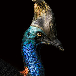 grahamszudera avatar